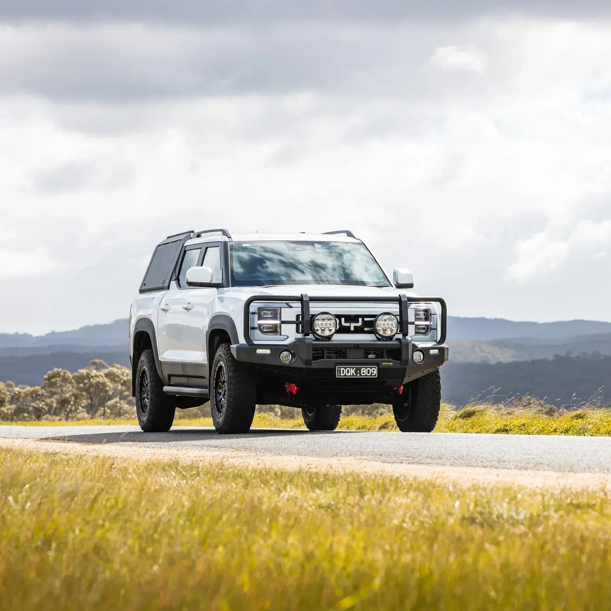 White 4x4 with IRONMAN 4x4 Deluxe bull bar parked in open grassland